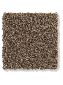 Teppichbodenfliese, Tabak 810