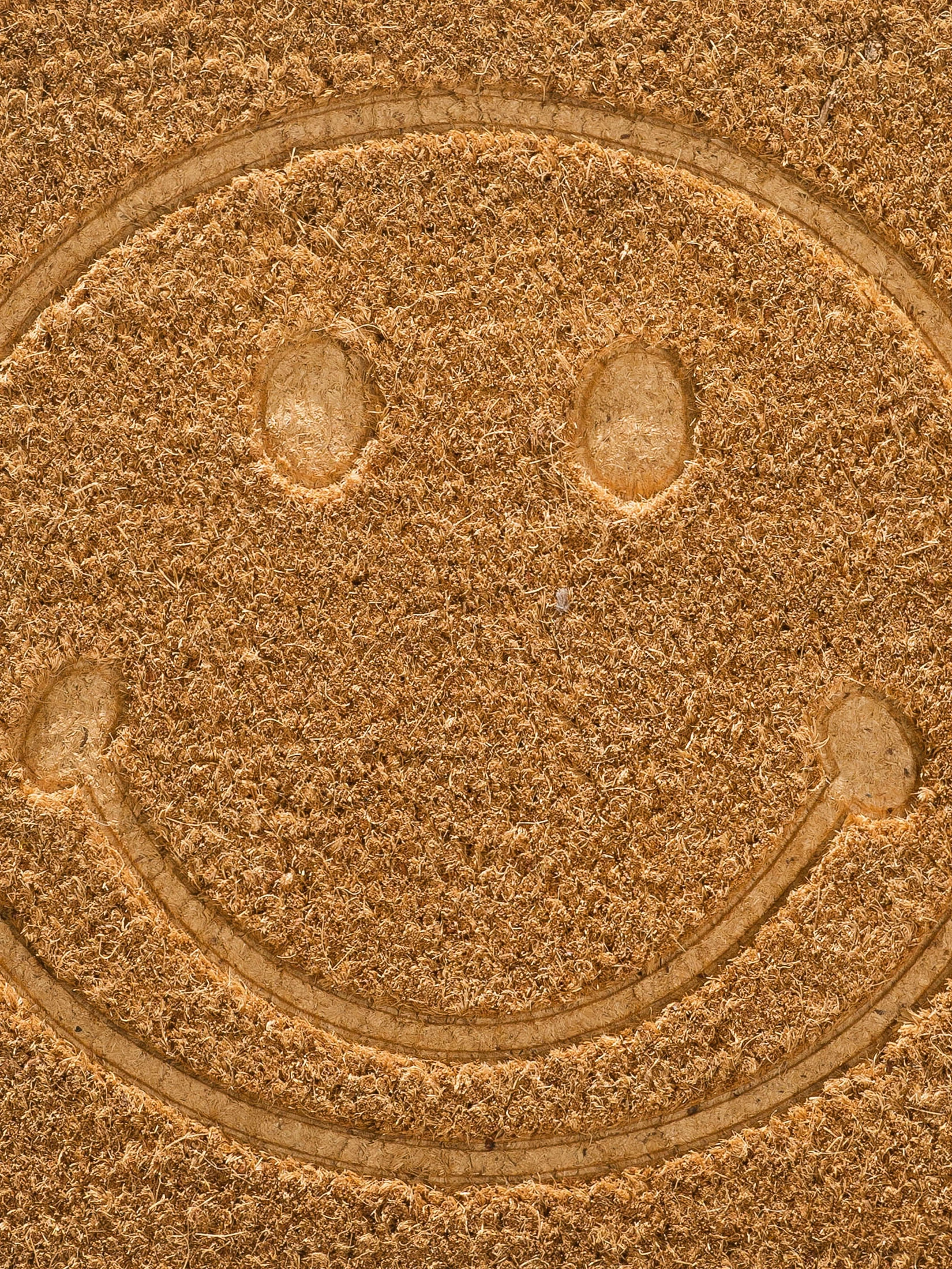 Fußmatte, Beige – Bild 4