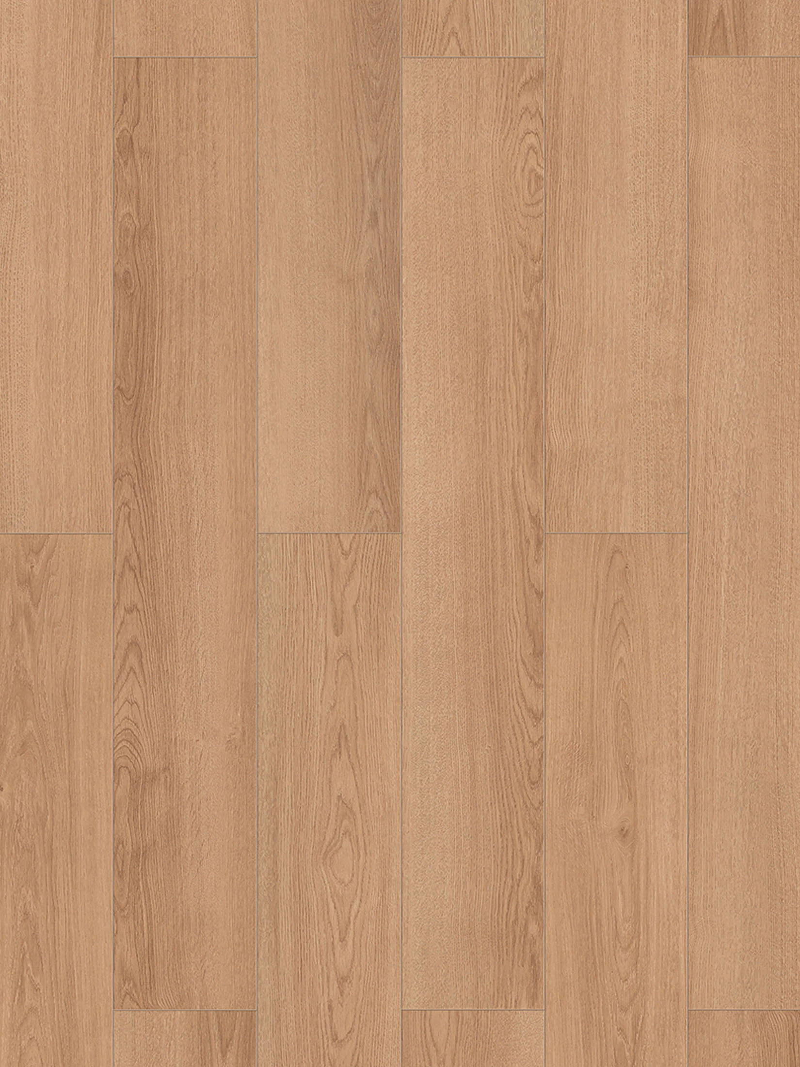 Klick-Laminat, Oak Hobart 62254 – Bild 3