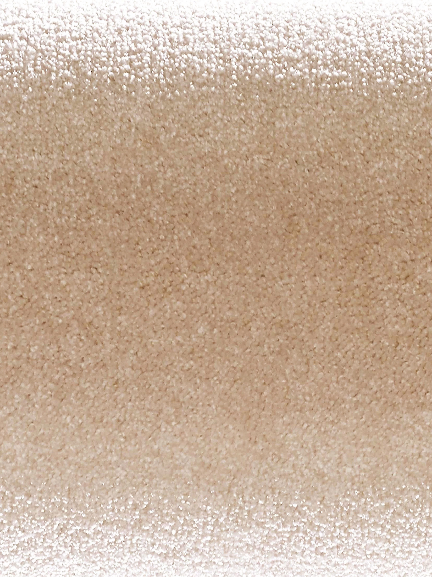 Velours-Teppichboden, Ivory 34 – Bild 5