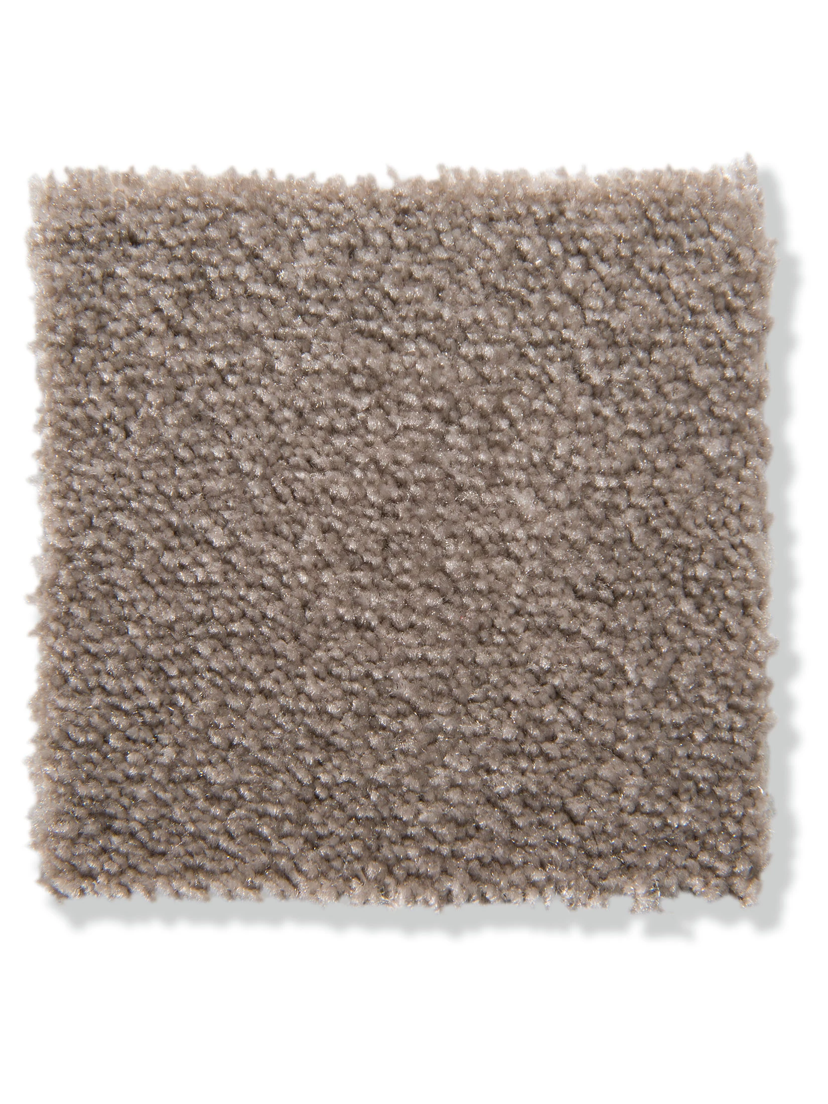 Velours-Teppichboden, Taupe 49 – Bild 3