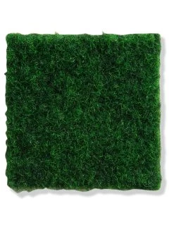 Rasen-Teppichboden, Moos