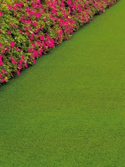 Rasen-Teppichboden, Light Green