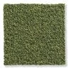 Schlingen-Teppichboden, Hellgrün