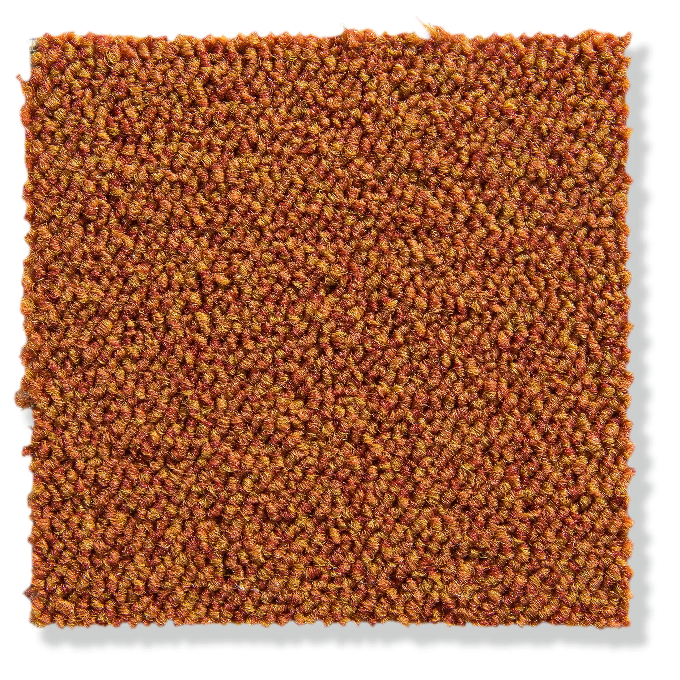 Schlingen-Teppichboden, Terra