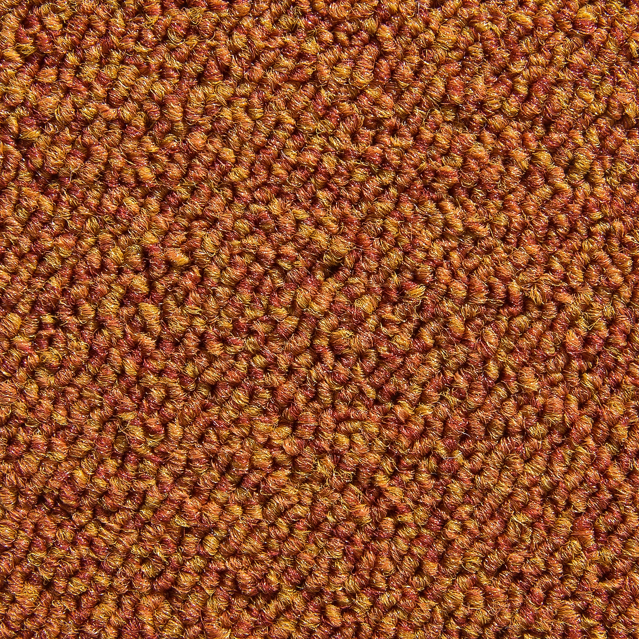 Schlingen-Teppichboden, Terra – Bild 2