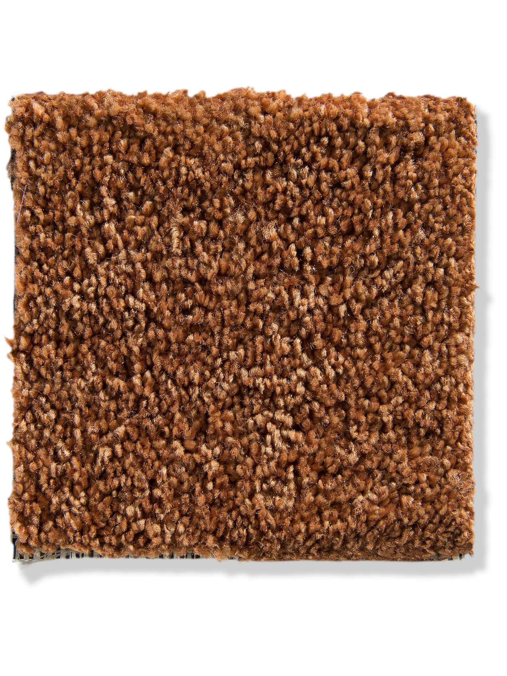 Velours-Teppichboden, Terra – Bild 2