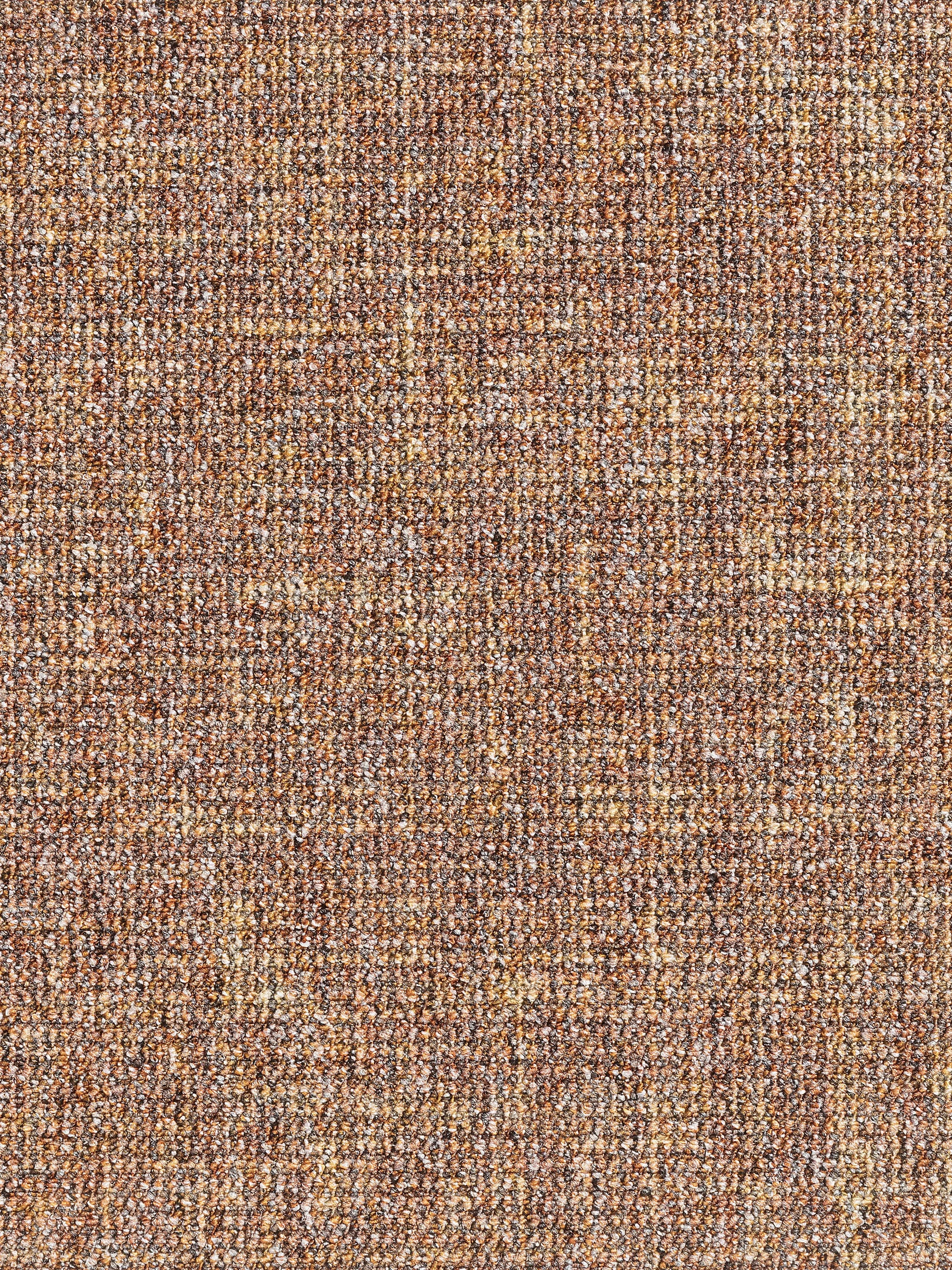 Teppichbodenfliese, Terra – Bild 2